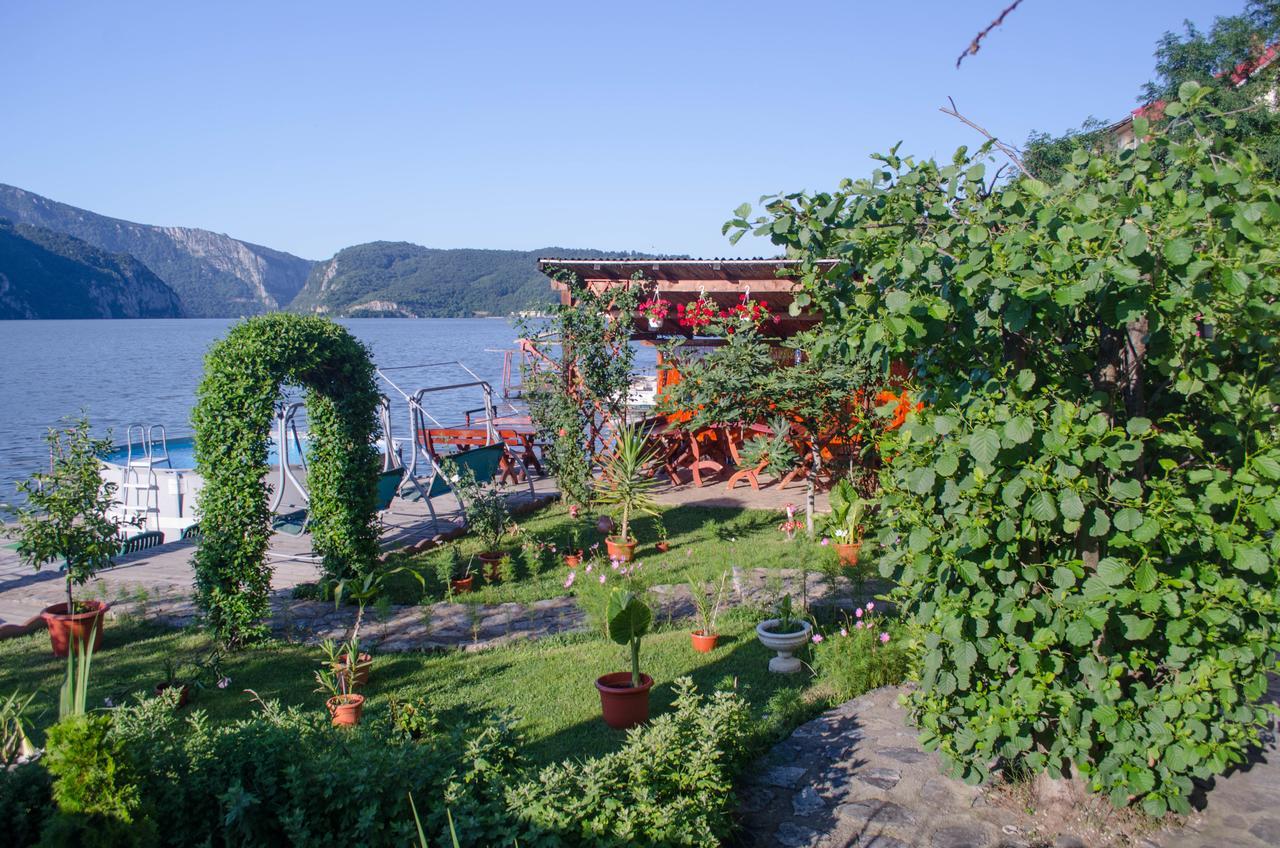 Casa Ana Serena Ieşelniţa エクステリア 写真