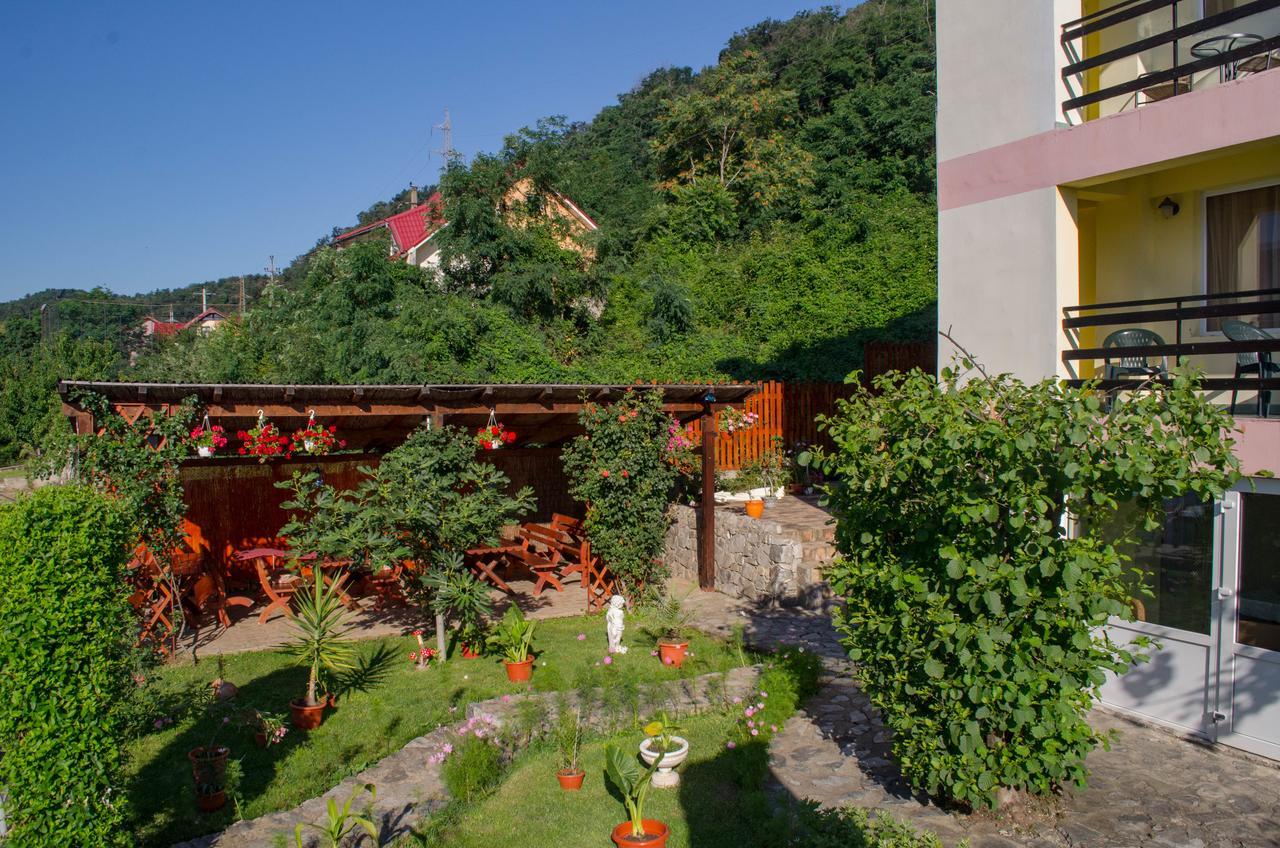 Casa Ana Serena Ieşelniţa エクステリア 写真
